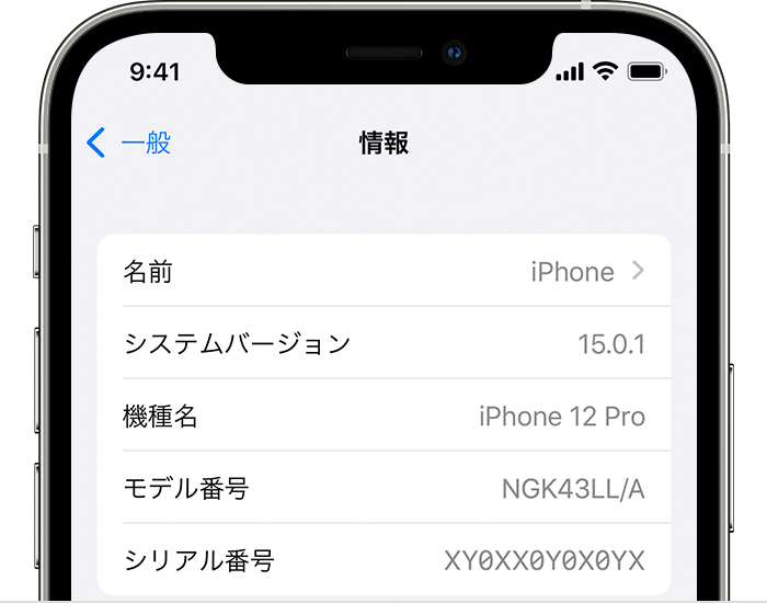 iPhone 環境